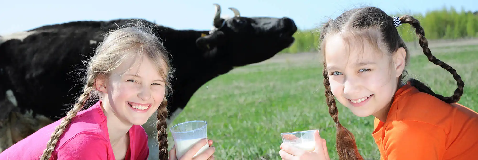 Photo of Free Milk for Under 5's
