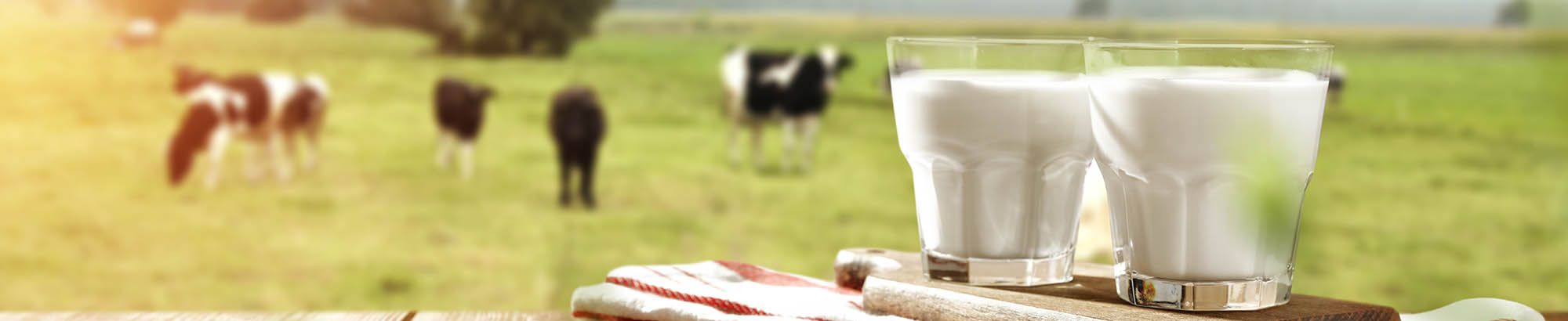 Photo of Apply for Free Milk